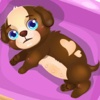 Cute Baby Puppy Care