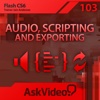 Course For Flash 103 - Audio, Scripting and Exporting common scripting languages 