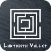 Labyrinth Valley