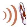 Noise Monitor - Record that Sound