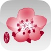 China Airlines 777 300ER