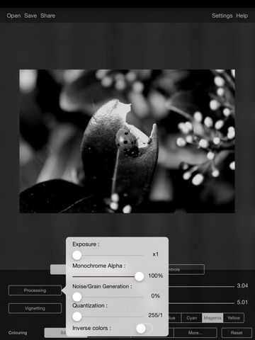 iPad Screenshot 2