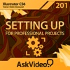 Professional Project Course For Illustrator CS6 project professional