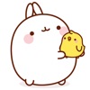 Molang