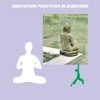 Meditation practices in buddhism buddhism beliefs and practices 