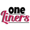 one Liners kitchen vent hood liners 