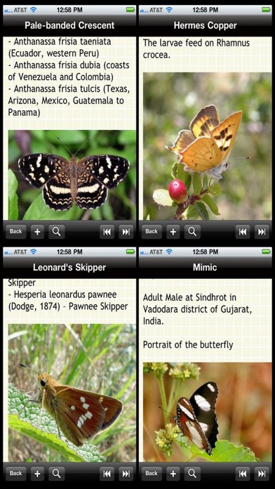 US Butterfly Bible screenshot1