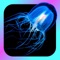 Jellyfish Encyclopedia
