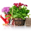 Home Gardening and Yard Landscaping 101-Video Tips gardening 101 