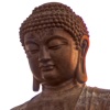Frag Buddha