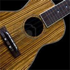 Thi Buoi - Easy Ukulele - Ukulele Music Lessons Exercises artwork