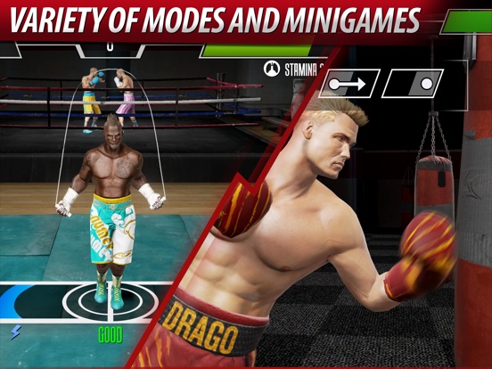 Screenshots of Real Boxing 2 ROCKY for iPad