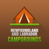 Newfoundland and Labrador Camping Guide newfoundland labrador mix adoption 