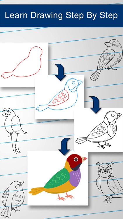 how to draw a easy bird step by step