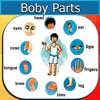 Human Body Parts list human body parts 