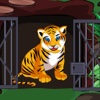 Siberian Tiger Cup Escape list of siberian cities 
