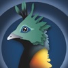 Monal - Free XMPP chat