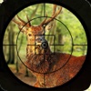 Safari Animal hunting challenge 2016 – deer, bear and fox shooting game to increase the shooting level. hunting shooting gloves 