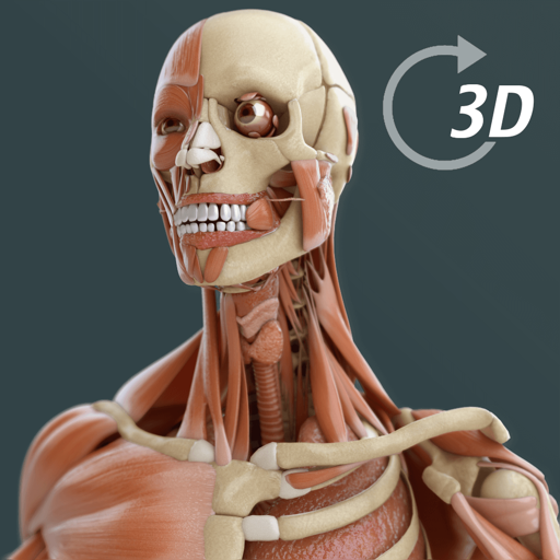 Visual Anatomy 3D | Human Mac OS X