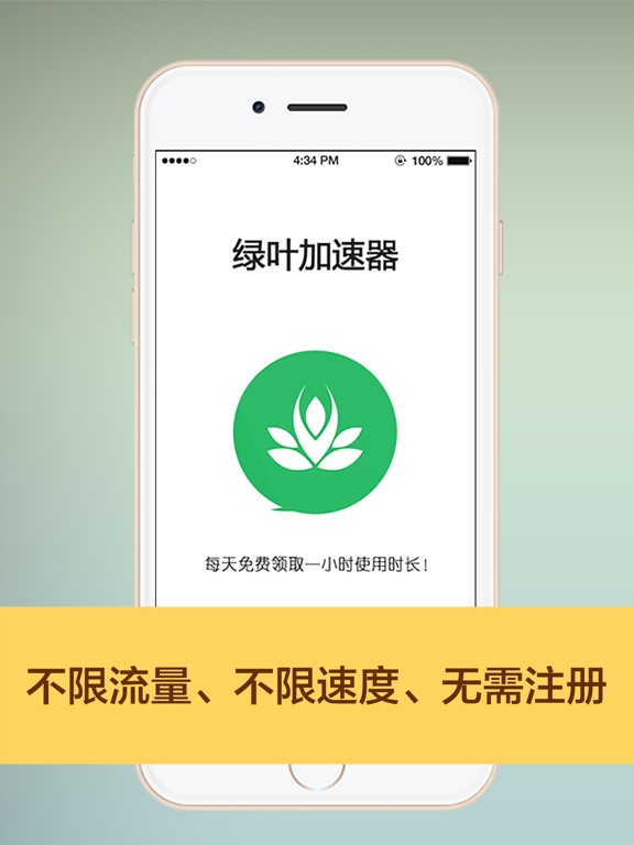 绿叶VPN dans l'App Store