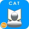 CAT Контрольные вопросы Pro
