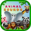 Animal Sounds - Toddler Animal Sounds and Pictures list of animal sounds 