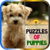 Puzzles of Puppies Free free puppies 