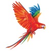 Maui Jim Trade Account Catalog