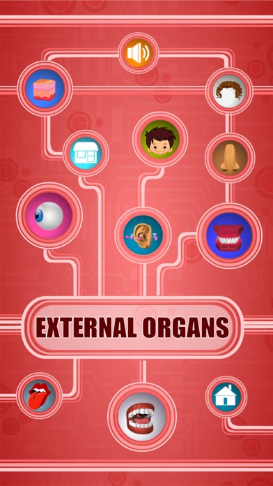 Human Body - External Organs App Download - Android APK