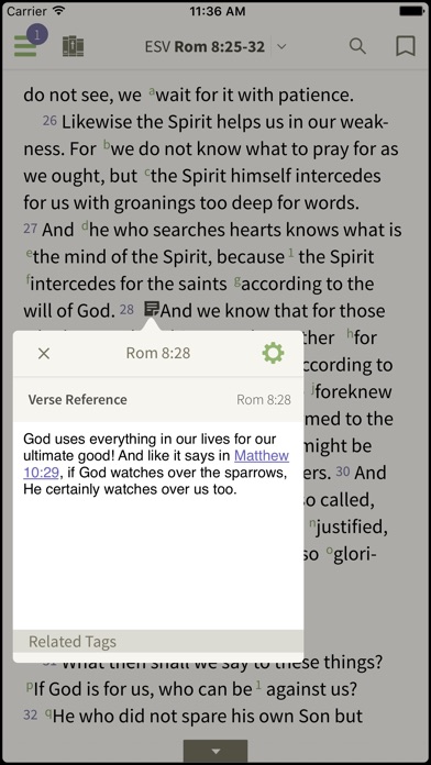 Nrsv Bible By Olive Tree review screenshots
