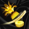 Fruit Master - Samurai Slicing fruit ninja lite