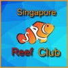 Singapore Reef Club Forum singapore turf club 