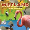 Wetland Wings
