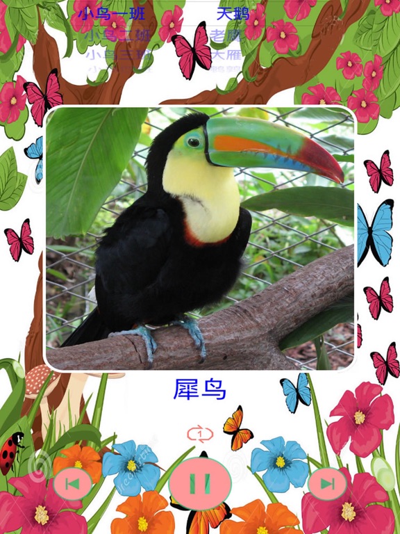 鸟的叫声大全之汉字拼音版:在 App Store 上的