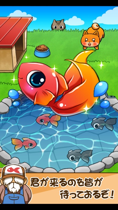 金魚コレクション - 金魚すくい無料ゲームのおすすめ画像5