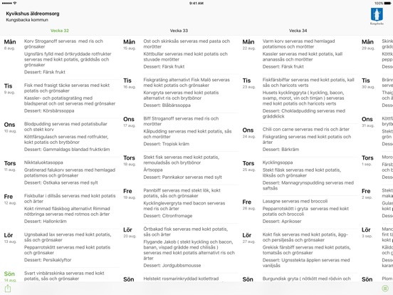 iPad-skärmavbild 1