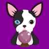 Splash Boston Terrier Emoji Stickers for iMessage