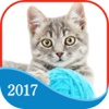 365 Cats Page-A-Day Calendar 2017 memorial day 2017 calendar 