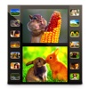 Photo Movie Pro - Slideshow Video DVD Lite dvd movie cover