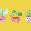 Emotional Plants emotional 