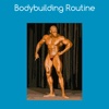 Bodybuilding routine bodybuilding routine 
