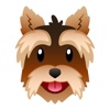 Yorkshire Terrier Stickers for iMessage yorkshire terrier puppies 