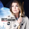 Grey's Anatomy - You're Gonna Need Someone on Your Side  artwork