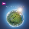 Planet Earth II - Grasslands  artwork