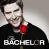 The Bachelor - 2210  artwork