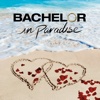 Bachelor in Paradise - 402A  artwork