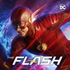 The Flash - Therefore I Am artwork