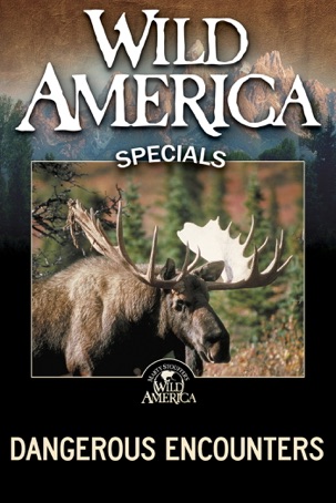 Wild America: Specials . Dangerous Encounters