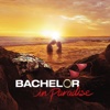 Bachelor in Paradise - 301  artwork