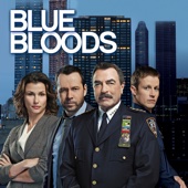 Blue Bloods - Blue Bloods, Season 6  artwork